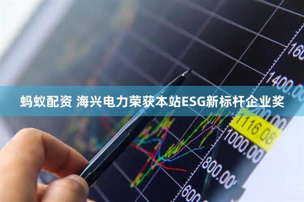 蚂蚁配资 海兴电力荣获本站ESG新标杆企业奖